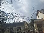 Olešná