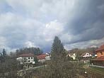 Olešná