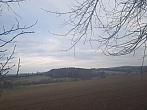 Olešná