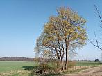 Lukovany