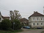 Třibřichy