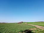 Lukovany