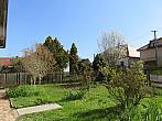 Třibřichy