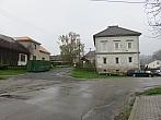 Třibřichy