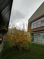 Čadca