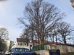 Jihlava