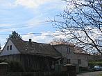 Třibřichy