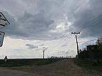 Třibřichy