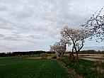 Lukovany