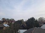Olešná