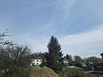 Olešná