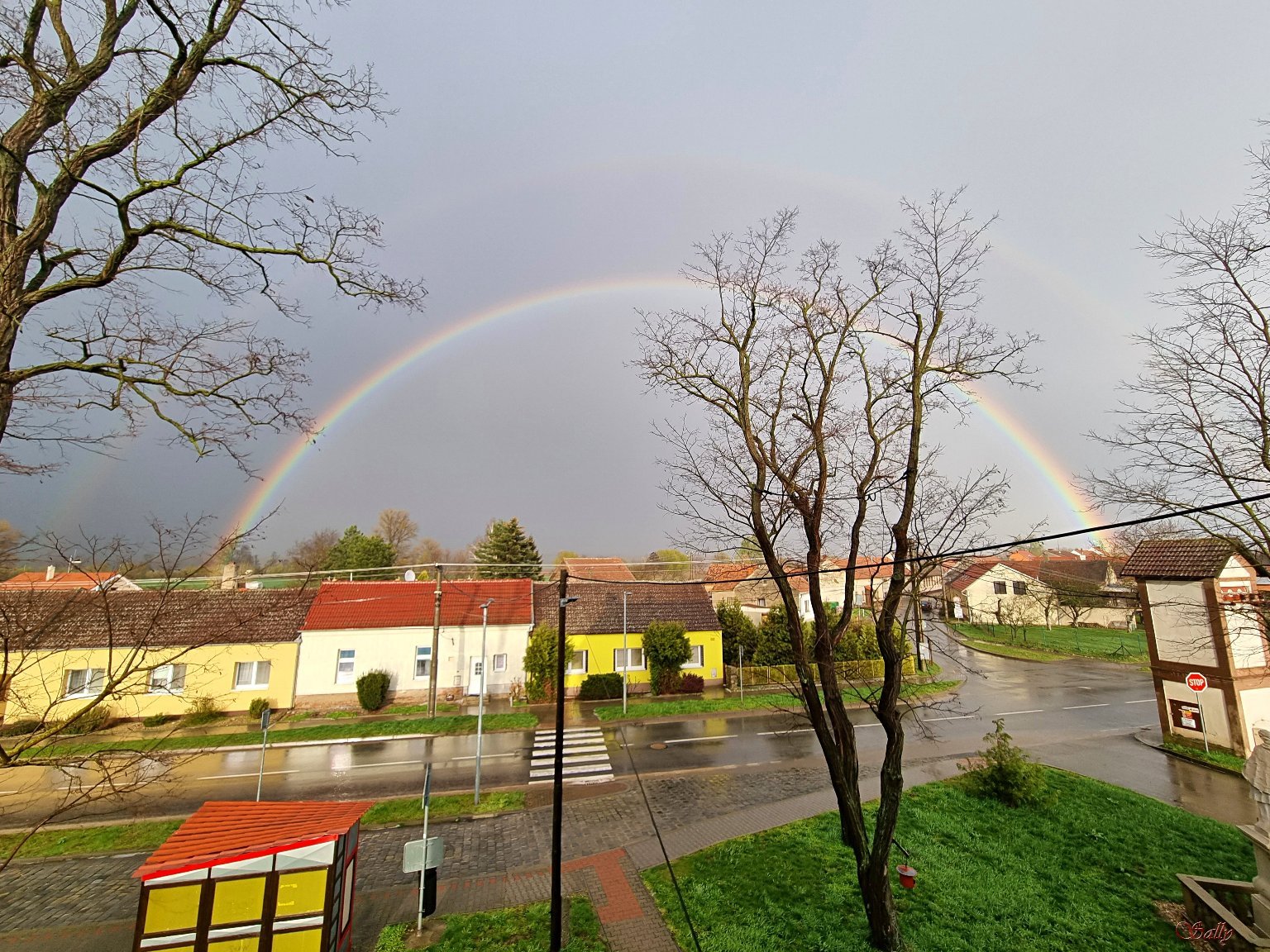 Odrovice