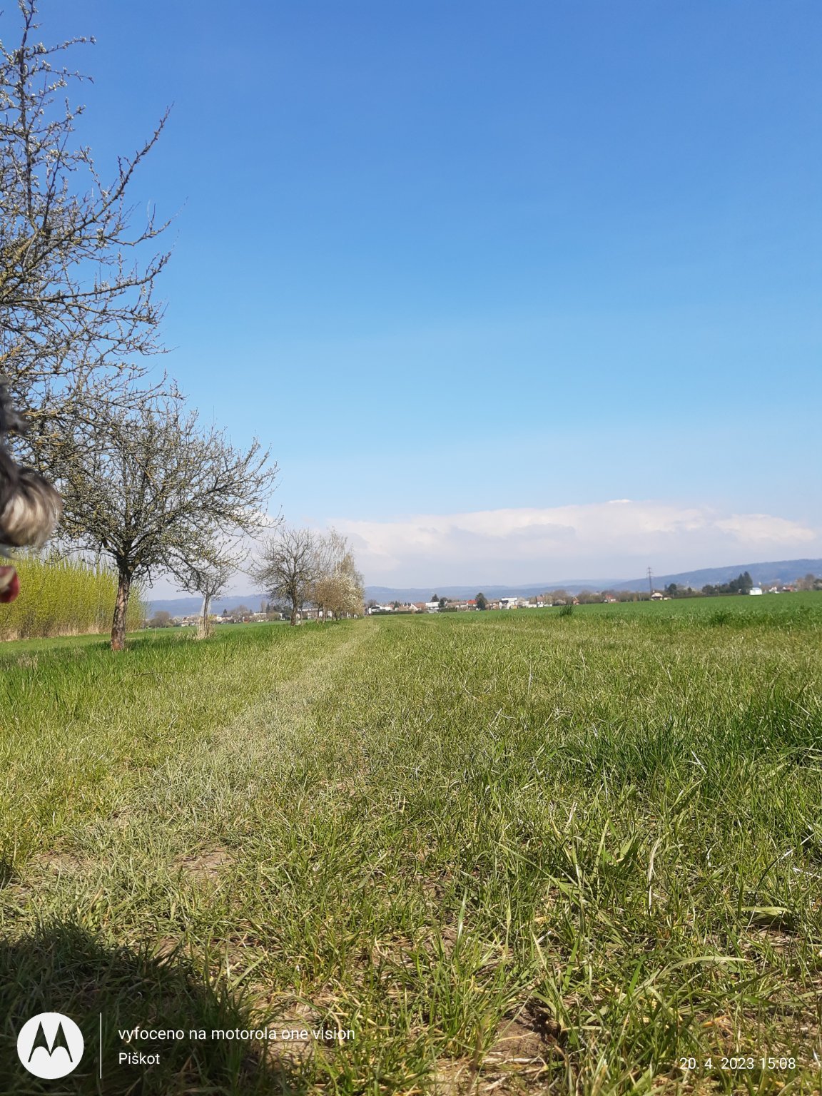 Bohuňovice