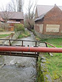 Třibřichy