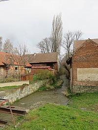 Třibřichy