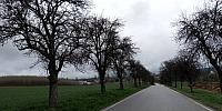 Lukovany
