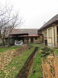 Třibřichy