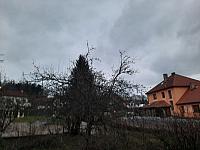 Olešná