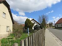 Třibřichy