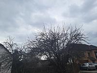 Olešná