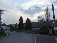 Třibřichy