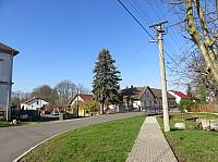 Třibřichy