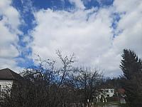 Olešná
