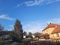 Olešná