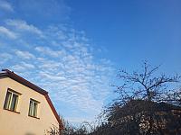 Olešná