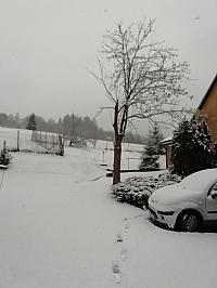 Skalité