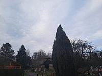 Olešná