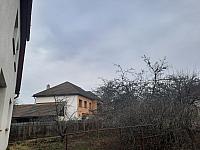 Olešná