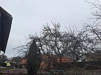 Olešná