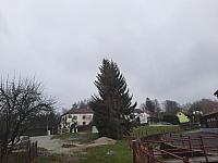 Olešná