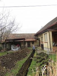 Třibřichy