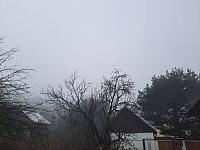 Olešná