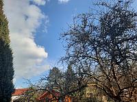 Olešná