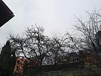 Olešná