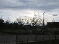Třibřichy