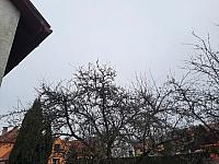 Olešná