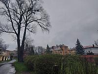 Český Těšín