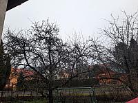 Olešná