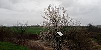 Lukovany