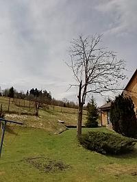 Skalité