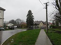 Třibřichy