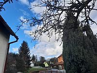 Olešná