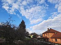 Olešná