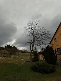 Skalité