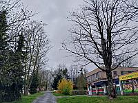 Český Těšín