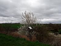 Lukovany